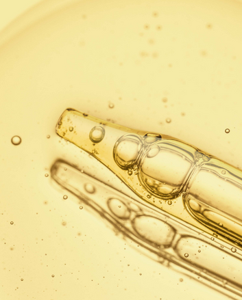 ANTYOKSYDANTY – SERCE I DUSZA SKUTECZNEJ PIELĘGNACJI ANTI-AGING